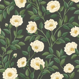 Cole & Son Historical Royal Palace 118/7016 Hampton Roses (met gratis lijm!)
