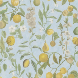 John Derian for Designers Guild PJD6018/02 Orchards Fruits