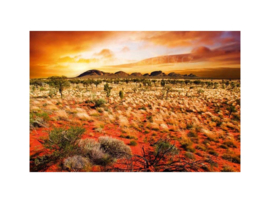 Fotobehang Australisch landschap