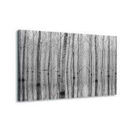 Canvasdoek Bomen