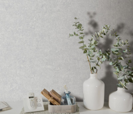 Erismann Gentle 10430-31