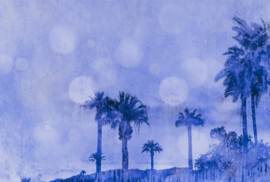 Fotowand Palm oasis 2 by Andrea Haase afm. 400cm x 270cm hoog