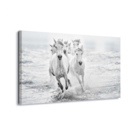 Canvasdoek Paarden in galop door de zee