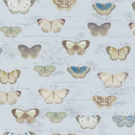 John Derian for Designers Guild PJD6017/02 Butterfly Studies