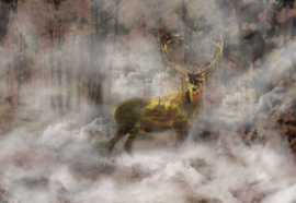 Fotobehang Forest Stag In The Mist