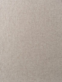 Arte All Naturals Scope 42070A Mushroom (met gratis lijm!)