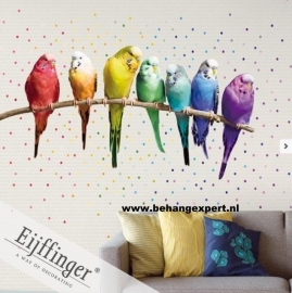 Eijffinger Wallpower Wonders Rainbow Budgies 321518