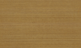 Arte Contract 67010 Silkx (met gratis lijm!)