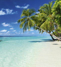 Fotobehang Paradijs strand