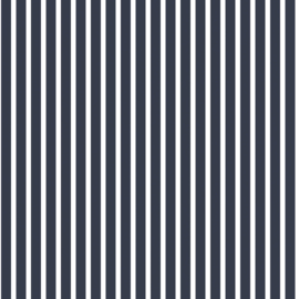 Galerie Wallcoverings Smart Stripes G67540