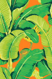 Hookedonwalls Scalamandré JV26012 Hinson Palm (met gratis lijm!)