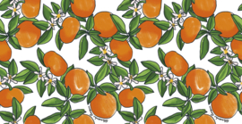 HookedOnWalls Enriquezland 25540 Tangerine (met gratis lijm!)