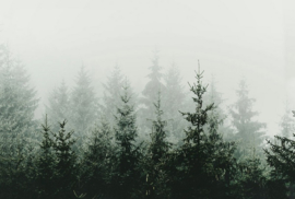 Fotowand Mountain forest by Monica Strigel afm. 400cm x 270cm hoog