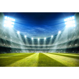 Fotobehang Stadium of Champions