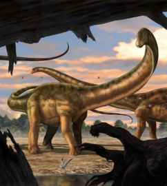 Komar Into Adventure IANGX5-011 National Geographic Seismosaurus 250cm x 280cm hoog