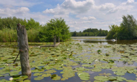 Fotobehang Holland 4624 - Loosdrecht ||