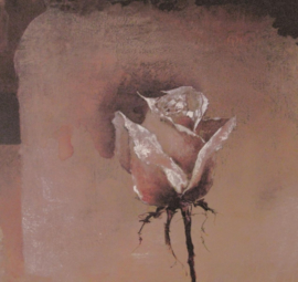 Evolution l  Fotobehang Painted  Rose 1088