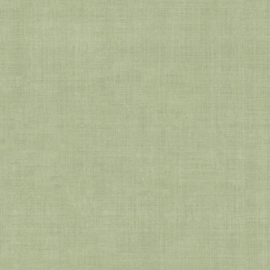 Dutch First Class Grafico Varlov 16038 (met gratis lijm!)