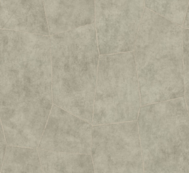 Hookedonwalls Livingstone Flagstone 53726 (met gratis lijm!)
