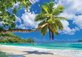 Fotobehang Strand met palmbomen