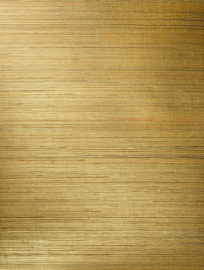 Arte All Naturals Line 80710C Gold (met gratis lijm!)