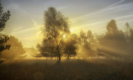 Fotobehang Holland 4611 - Herfstochtend ||