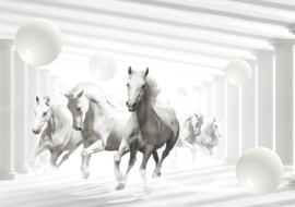 Fotobehang Witte paarden
