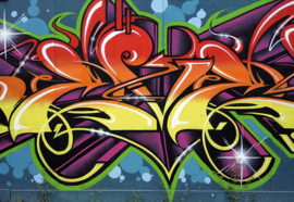 Fotobehang Graffiti Streetart 312 x 219cm 2e kans