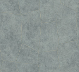 Hookedonwalls Livingstone Flagstone 53727 (met gratis lijm!)