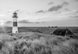 Fotobehang Vuurtoren in de duinen in zwart/wit