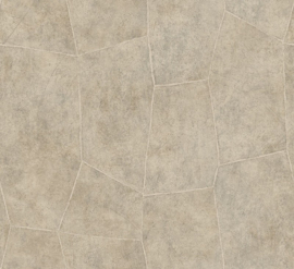 Hookedonwalls Livingstone Flagstone 53720 (met gratis lijm!)