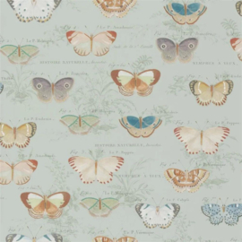 John Derian for Designers Guild PJD6017/03 Butterfly Studies