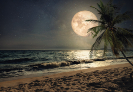 Fotobehang Strand met volle maan 