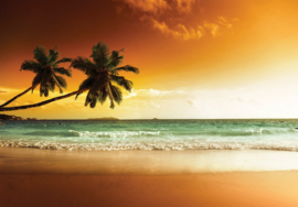 Fotobehang Tropisch strand bij zonsondergang