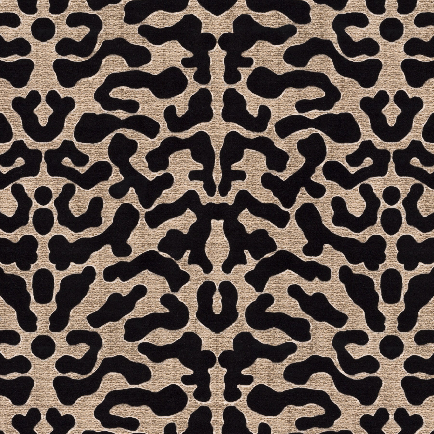 Carlucci Cosmic World CA8274/099 Wild Beauty (met gratis lijm!)