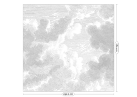 Kek Book V wp-636 Engraved Clouds 292,2cm breed x 280cm hoog (met gratis lijm!)