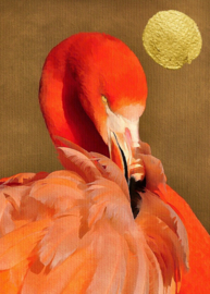 Fotowand Flamingo in sun by Kubistika afm. 200cm x 280cm hoog