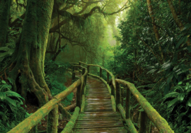 Fotobehang Wilde brug door de jungle