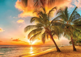 Fotobehang Strand en Palmbomen