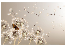 Fotobehang Paardenbloemen en vlinder