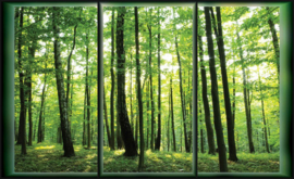 Fotobehang Uitzicht op het Bos