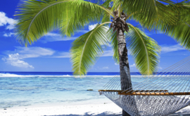 Fotobehang Strand met palmboom en hangmat
