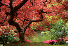Fotobehang Autumn Flower Forest