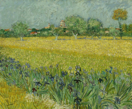 fotobehang BN Wallcoverings Van Gogh 30543 Veld met irissen bij Arles