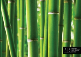 Fotobehang AG Design FTS0170 Bamboo