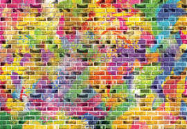 Fotobehang Multicoloured Brick Wall
