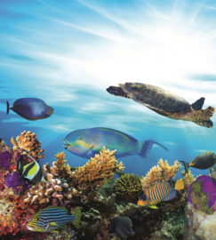Fotobehang Onderwater Wereld