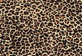 Fotobehang Leopard
