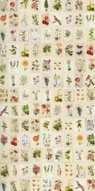 Eijffinger Pip Studio Wallpower 341086 Botanical Paper