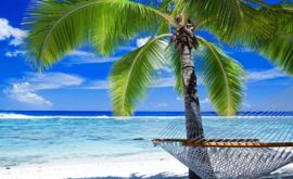 Fotobehang Zandstrand met Palmboom en Hangmat